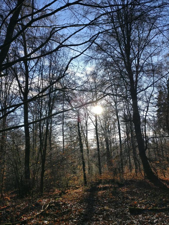 Katharina Ferienwohnung Am Eifelsteig Neroth Dış mekan fotoğraf